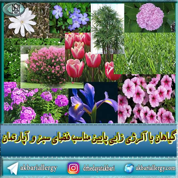 گیاهان با آلرژی زایی پایین