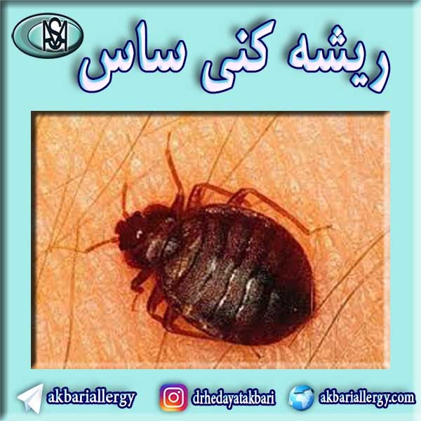 ریشه کن کردن ساس